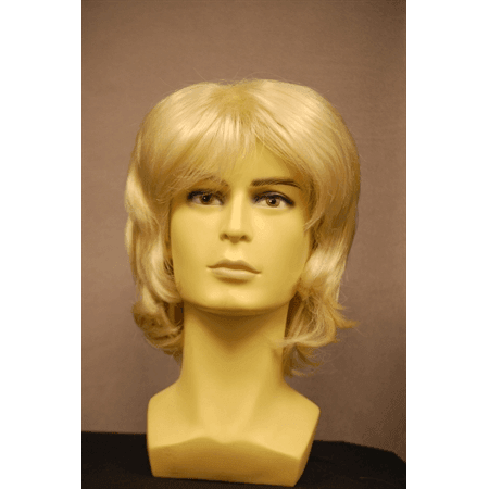 Basic 70s Guy Wig